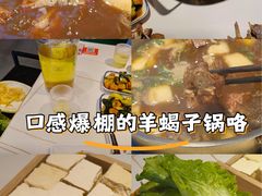 -望蝎门羊蝎子火锅(祭城店)
