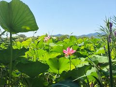 -颐和园