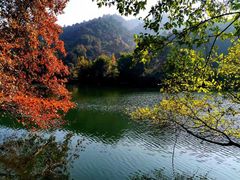 -江西阳明山国家森林公园