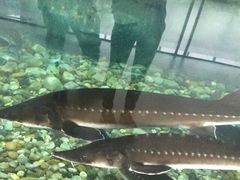 罗源湾海洋世界-福州罗源湾海洋世界旅游区