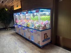 -青水瓦台汤泉(未央店)