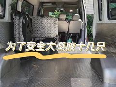 -东方名猫馆·英短金渐层布偶猫舍(环线广场1号楼店)