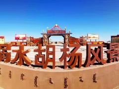 -金塔沙漠胡杨林景区