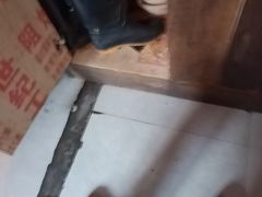 -龙师傅卤炒(天马店)