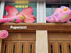 -帕帕拉兹宠物(亚洲旗舰店)