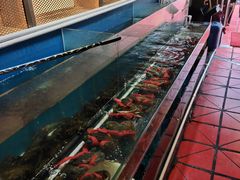 -虾胡闹·澳洲小龙虾·烧烤(福田鲨鱼店)