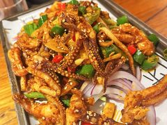 炒你鱿鱼-苹果树下艺术餐厅(宋庄店)