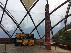 -怀托摩萤火虫洞