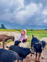 -小红帽摄影(丽江店)