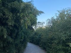 -大连植物园