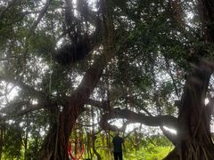 -广东天露山旅游度假区