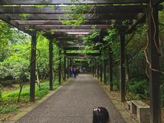 -苏州环秀晓筑养生度假村