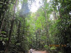 -武吉知马自然保护区