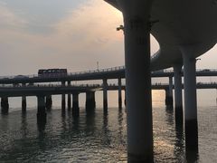 -演武大桥观景平台