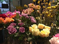 -Flower in(密渡桥店)