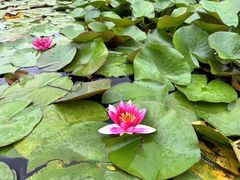 -白马涧龙池景区