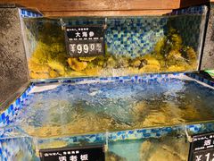 水产区-浩运·海鲜青岛菜·海胆水饺(石老人店)