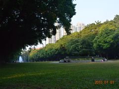 -中山大学学者灵芝(园南路店)