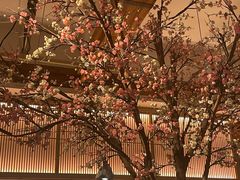 -蜜桃餐厅·伴山(湖滨商业街店)