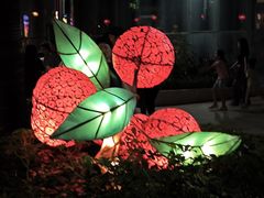 -缘生态云南菜·野生菌庭院餐厅(华侨城店)