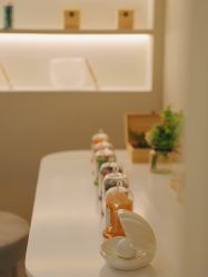 -VE专注问题肌·赛诺龙&科学美肤中心