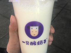 -一只酸奶牛(八一路店)