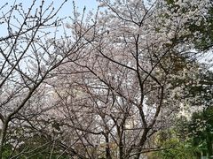 -苏州上方山国家森林公园
