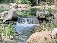 -新洲生态园