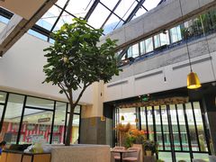 -大树餐厅(红旗街万达店)