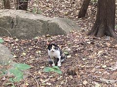 -云龙山