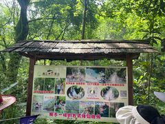 -桂林古东瀑布景区