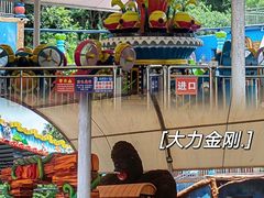 -东湖公园游乐场