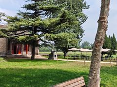 -汉长安城未央宫国家考古遗址公园