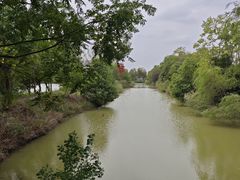 -泗洪洪泽湖湿地景区