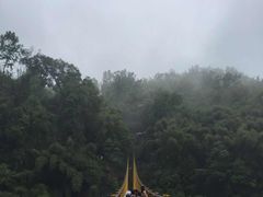 -川西竹海景区