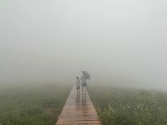 -白草畔自然风景区