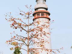 -五通灯塔公园