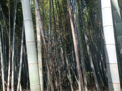 -同里国家湿地公园