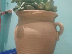 -云鱿记鱿鱼鸡·野生菌火锅(人民南路店)
