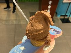 -野人先生现做冰淇淋(西安赛格店)