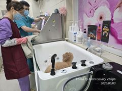 -北京观赏动物医院·24小时大型综合·猫专科·异宠专科