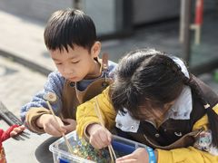 -菊园百果园