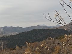 -府君山公园