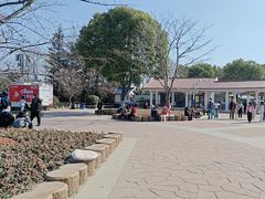 -顾村公园3号门停车场