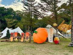 -云栖山谷野奢营地