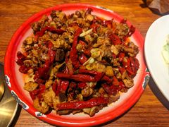 -柴窝堡22号辣子鸡·传承新疆菜