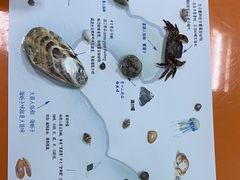 -沈阳海洋探索中心