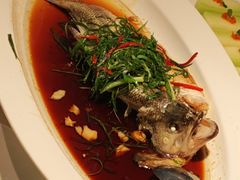 -院里寻菜·精致庭院菜(观沙岭店)