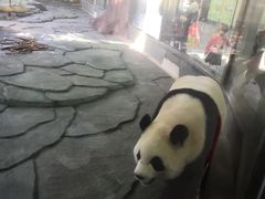 -泉州海丝野生动物世界