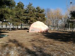 -大兴滨河森林公园